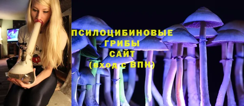 Псилоцибиновые грибы MAGIC MUSHROOMS  Лодейное Поле 